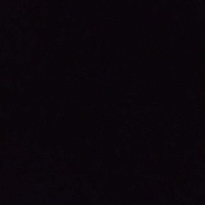 Meet your Posher, Leticha